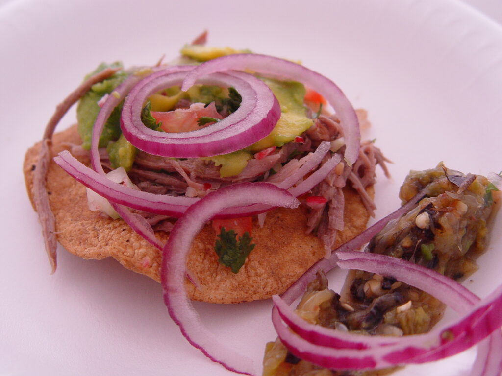 Tzik de Venado: The Savory, Meaty Wonder of Yucatan Cuisine!