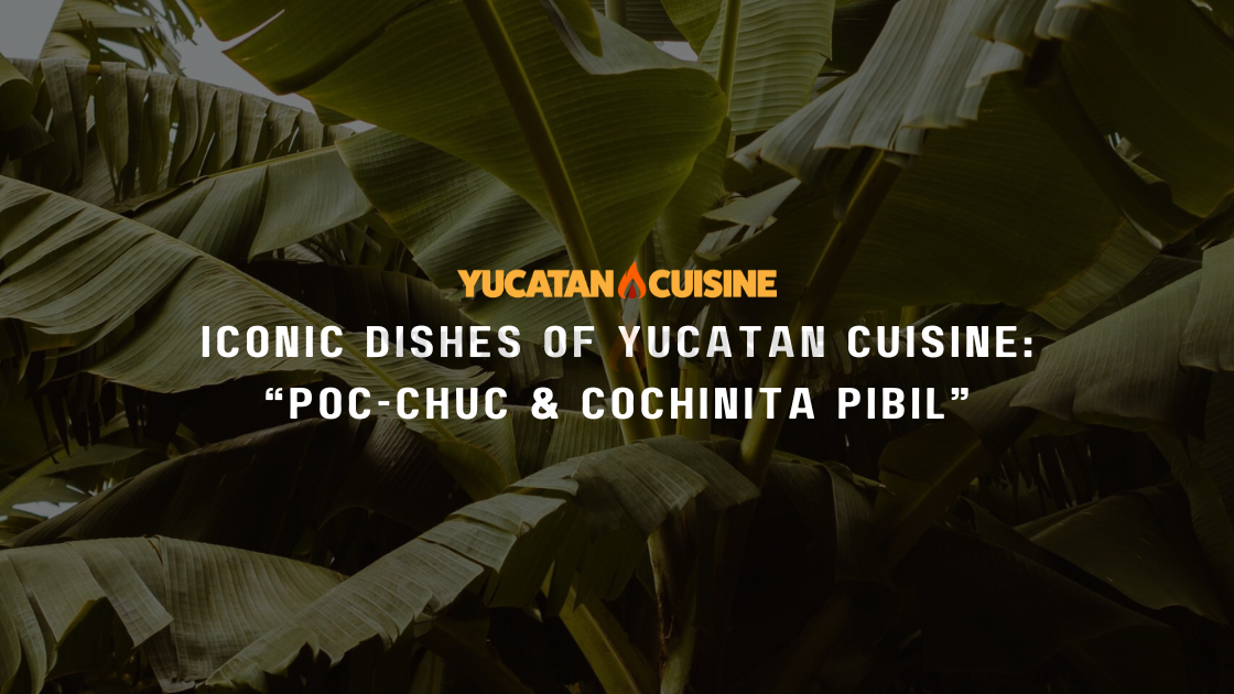 Iconic Dishes of Yucatan Cuisine: Poc-Chuc & Cochinita Pibil